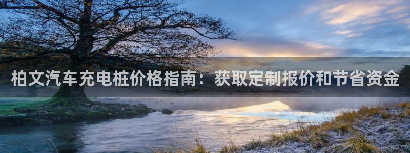 威廉比分：柏文汽车充电桩价格指南：获取定制报价和节省资金