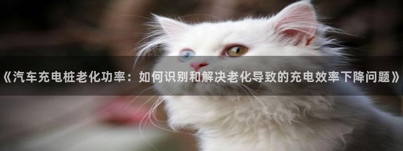 威廉希尔黑钱