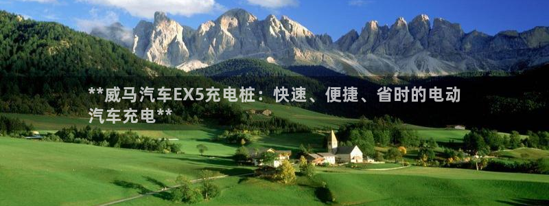 威廉指数计算公式：**威马汽车EX5充电桩：快速、便捷、省时的电动
汽车充电**