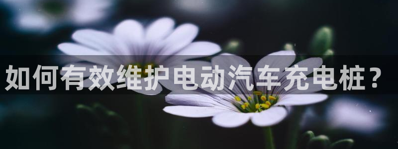 威廉希尔在中国怎么买东西：如何有效维护电动汽车充电桩？