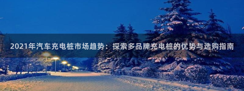 威廉希尔怎么样：2021年汽车充电桩市场趋势：探索多品牌充电桩的优势与选购指南