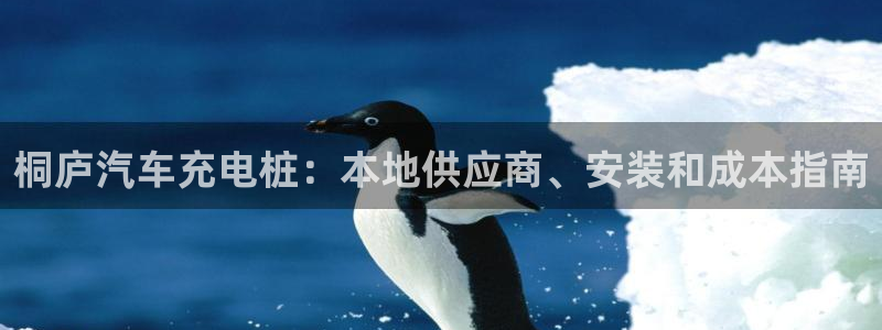 威廉希尔 1.33：桐庐汽车充电桩：本地供应商、安装和成本指南
