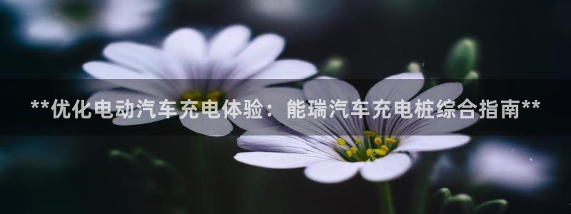 威廉希尔诺贝尔模型：**优化电动汽车充电体验：能瑞汽车充电桩综合指南**