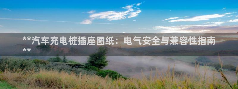 g 威廉：**汽车充电桩插座图纸：电气安全与兼容性指南
**