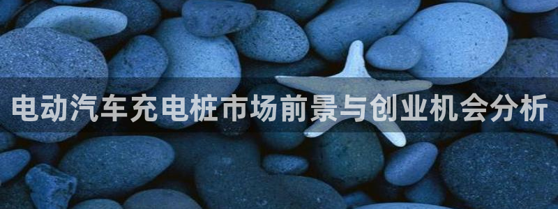 威廉足球 厉害吗
