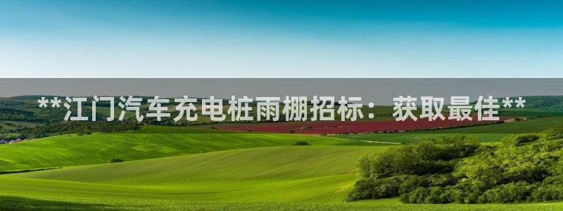 威廉希尔竞彩官方对比：**江门汽车充电桩