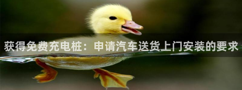 威廉希尔教学