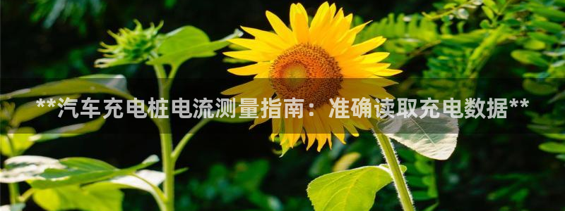 威廉希尔如何分析