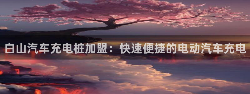 威廉国际app：白山汽车充电桩加盟：快速
