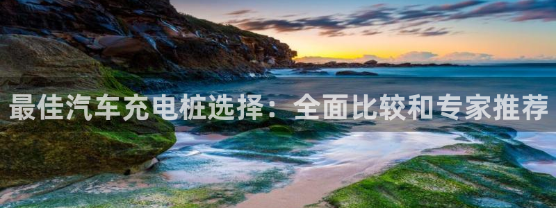 威廉希尔官网哪里有：最佳汽车充电桩选择：