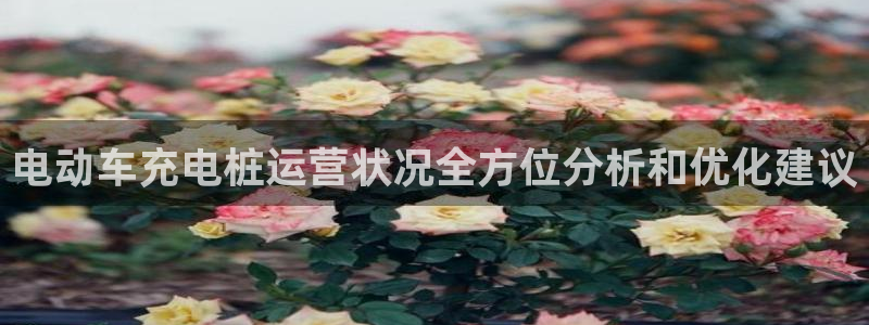 威廉国际app是干什么的