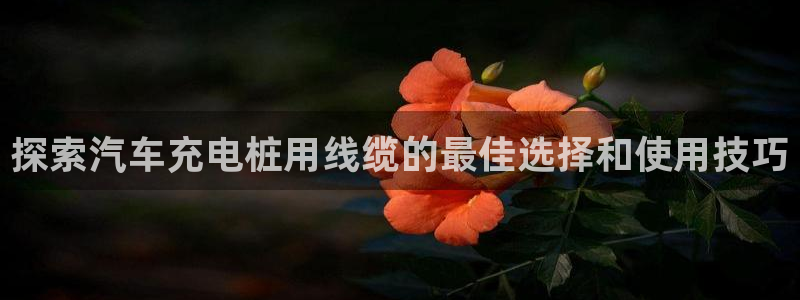 威廉希尔大小球开盘思维
