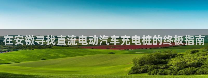 威廉国际是不是真的：在安徽寻找直流电动汽
