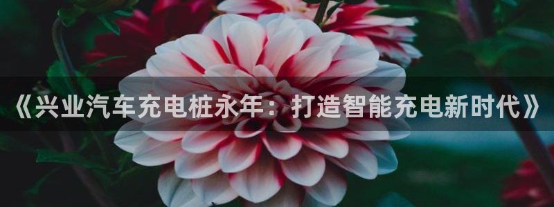 威廉希尔APP入口 - 威廉希尔中文官方