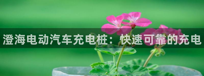 威廉希尔反波胆平台多久：澄海电动汽车充电桩：快速可靠的充电