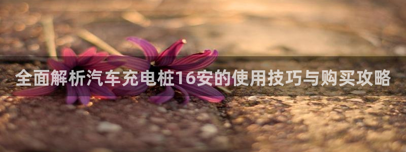 威廉希尔官网网页版：全面解析汽车充电桩1