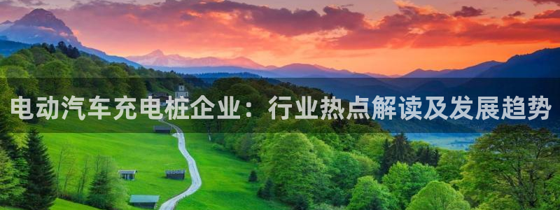 威廉希尔足球网指数：电动汽车充电桩企业：