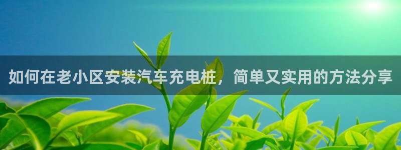威廉希尔是什么意思：如何在老小区安装汽车充电桩，简单又实用的方法分享