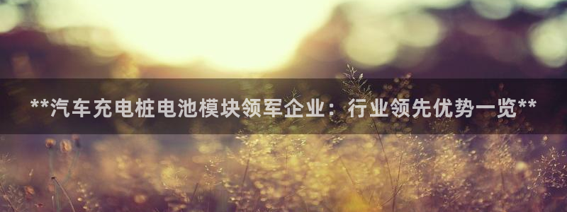 威廉足球：**汽车充电桩电池模块领军企业