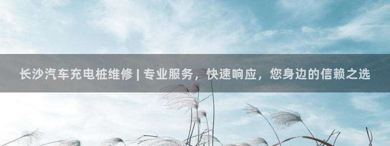 威廉希尔 1.70 4.20 4.20：长沙汽车充电桩维修 | 专业服务，快速响应，您身边的信赖之选