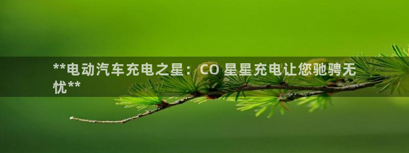 威廉希尔和365开盘特点：**电动汽车充电之星：CO 星星充电让您驰骋无
忧**