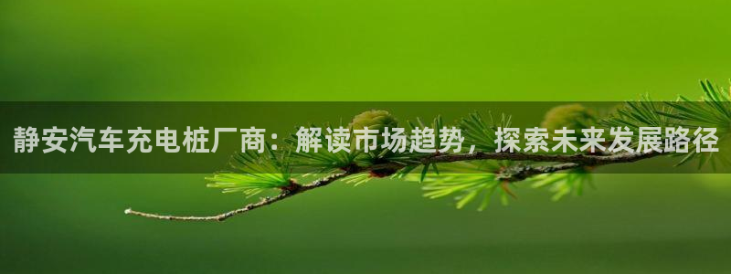 威廉希尔立博对比必学会：静安汽车充电桩厂