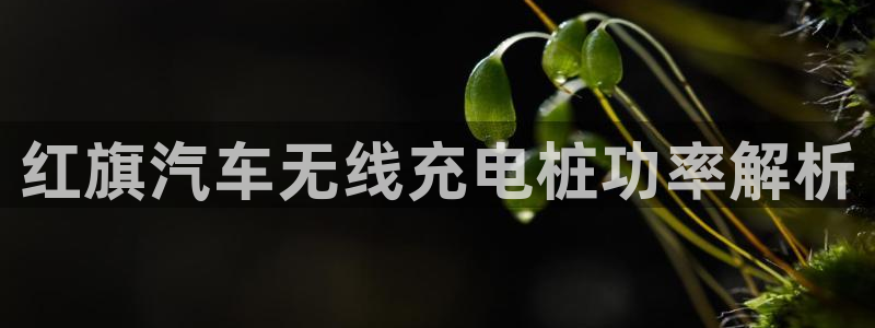 威廉希尓指数：红旗汽车无线充电桩功率解析