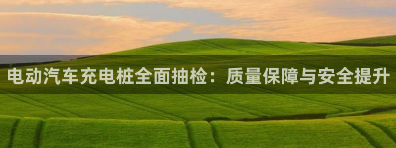威廉希尔年销售总额：电动汽车充电桩全面抽