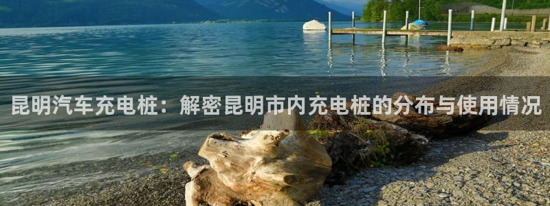 威廉网络科技有限公司：昆明汽车充电桩：解密昆明市内充电桩的分布与使用情况