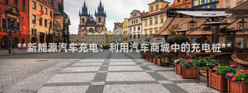 威廉希尔操盘手：**新能源汽车充电：利用