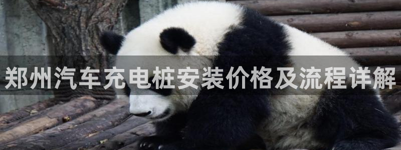 williamhill威廉希尔官网：郑州