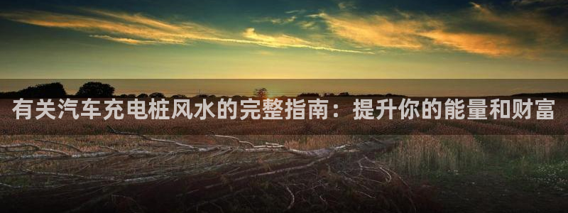 威廉希尔足球分析师：有关汽车充电桩风水的