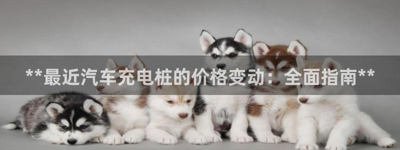 威廉希尔浏览器5.5.2：**最近汽车充