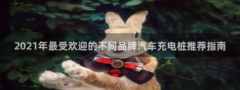 威廉希尔分析软件：2021年最受欢迎的不