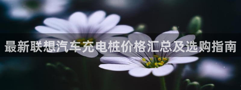 威廉希尔中国欢迎你：最新联想汽车充电桩价格汇总及选购指南